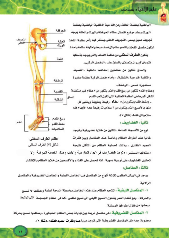 شرح الدرس الاول احياء4 شرح الدرس الاول احياء4